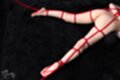 On her front nude legs spread wide bound with rope bare feet
