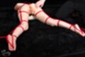 Lying on her front naked tied up with shibari rope legs spread hand on her ass bare feet