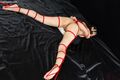 On her front naked arms bound with shibari rope legs open showing her pussy